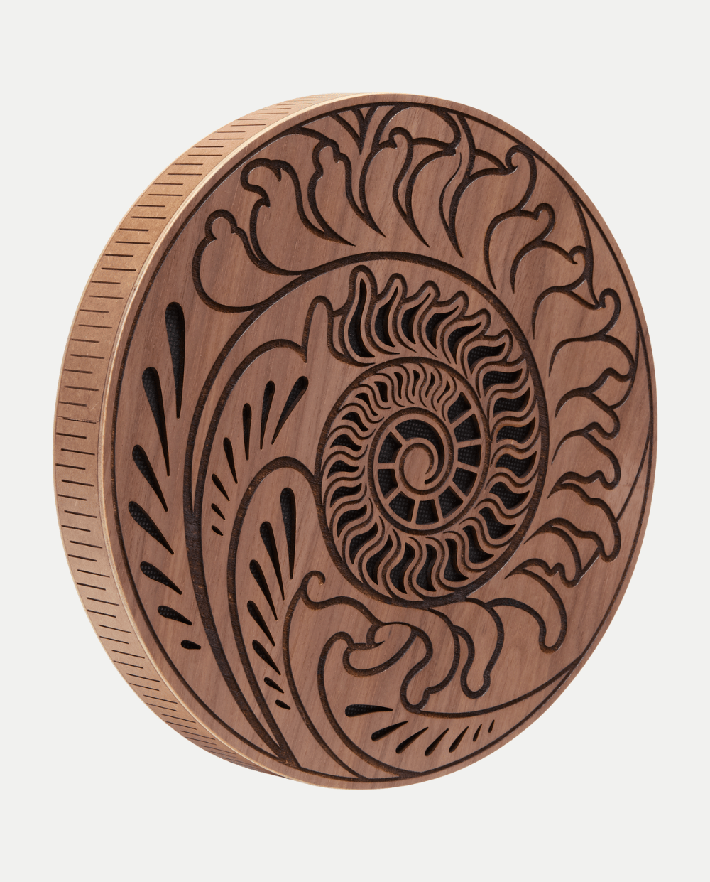 Rain Disk 10''